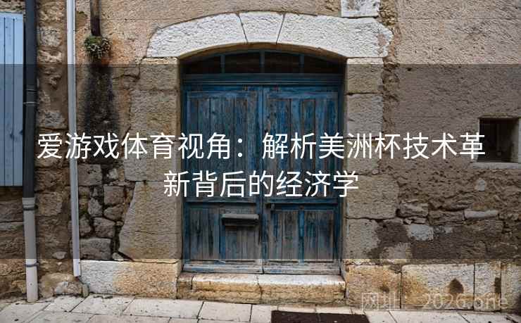 爱游戏体育视角：解析美洲杯技术革新背后的经济学