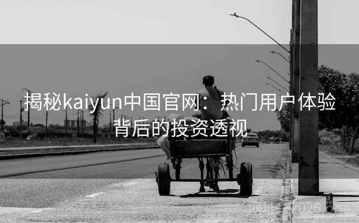 揭秘kaiyun中国官网：热门用户体验背后的投资透视