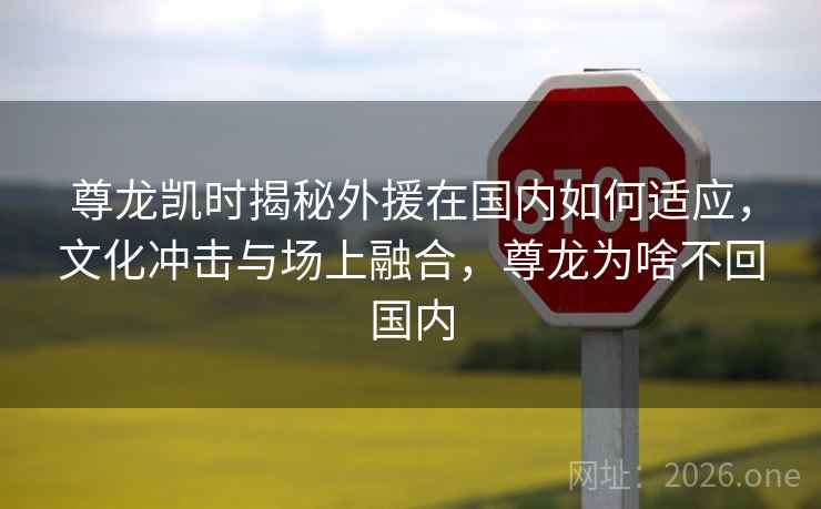 尊龙凯时揭秘外援在国内如何适应，文化冲击与场上融合，尊龙为啥不回国内