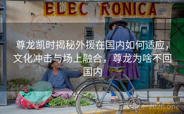 尊龙凯时揭秘外援在国内如何适应，文化冲击与场上融合，尊龙为啥不回国内