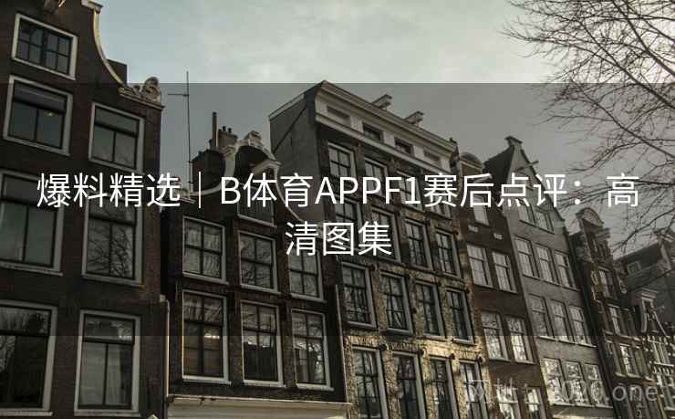 爆料精选｜B体育APPF1赛后点评：高清图集