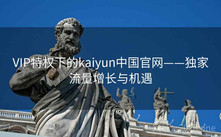 VIP特权下的kaiyun中国官网——独家流量增长与机遇