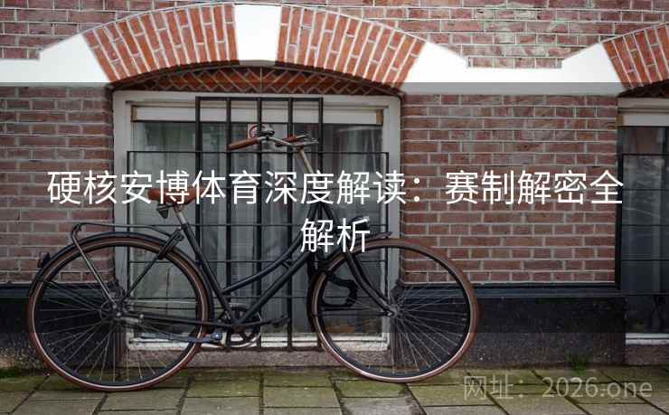 硬核安博体育深度解读：赛制解密全解析