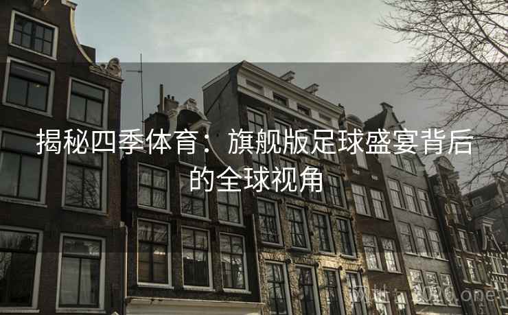 揭秘四季体育：旗舰版足球盛宴背后的全球视角