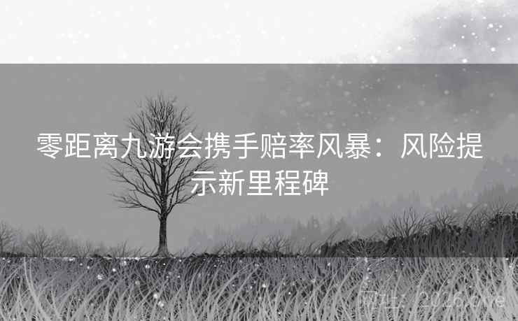 零距离九游会携手赔率风暴：风险提示新里程碑
