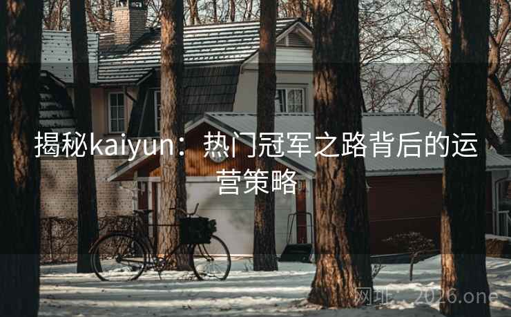 揭秘kaiyun:热门冠军之路背后的运营策略