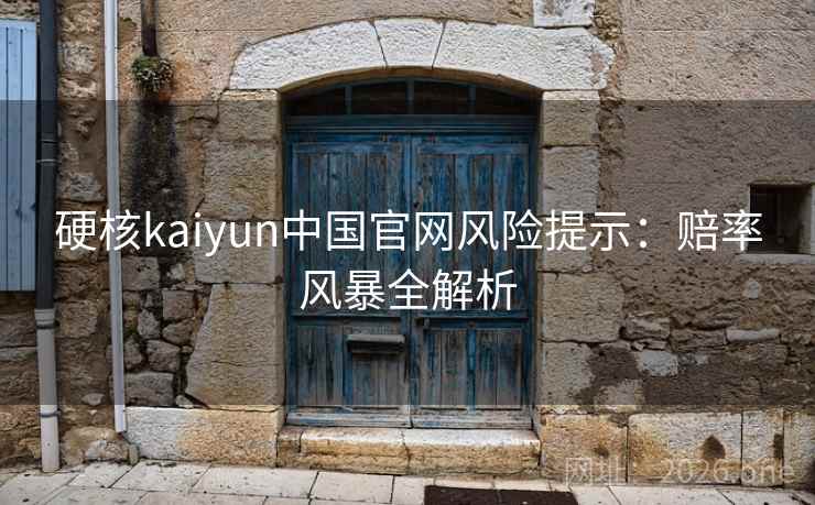 硬核kaiyun中国官网风险提示:赔率风暴全解析 硬核kaiyun中国官网风险提示:赔率风暴全解析