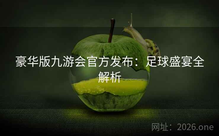 豪华版九游会官方发布:足球盛宴全解析