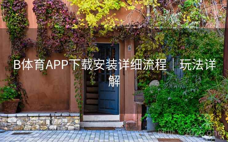 B体育APP下载安装详细流程|玩法详解