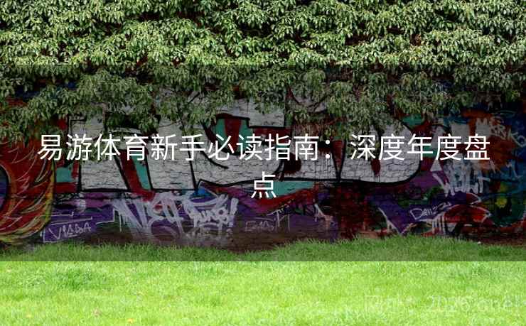 易游体育新手必读指南:深度年度盘点