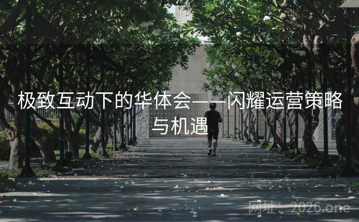 极致互动下的华体会——闪耀运营策略与机遇 极致互动下的华体会——闪耀运营策略与机遇
