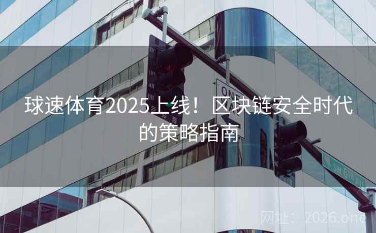 球速体育2025上线!区块链安全时代的策略指南