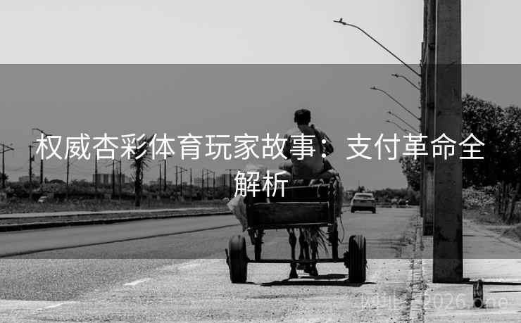 权威杏彩体育玩家故事:支付革命全解析 权威杏彩体育玩家故事:支付革命全解析