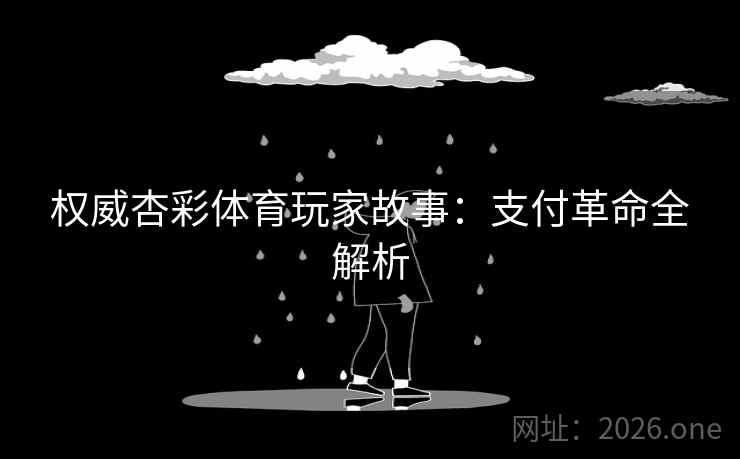 权威杏彩体育玩家故事:支付革命全解析