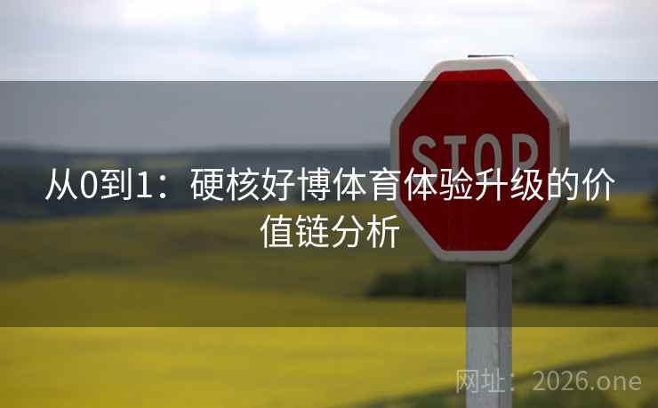 从0到1：硬核好博体育体验升级的价值链分析