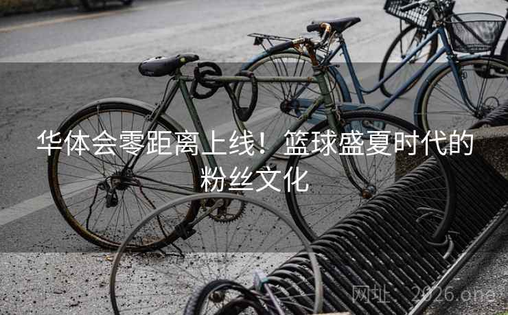 华体会零距离上线!篮球盛夏时代的粉丝文化 华体会零距离上线!篮球盛夏时代的粉丝文化