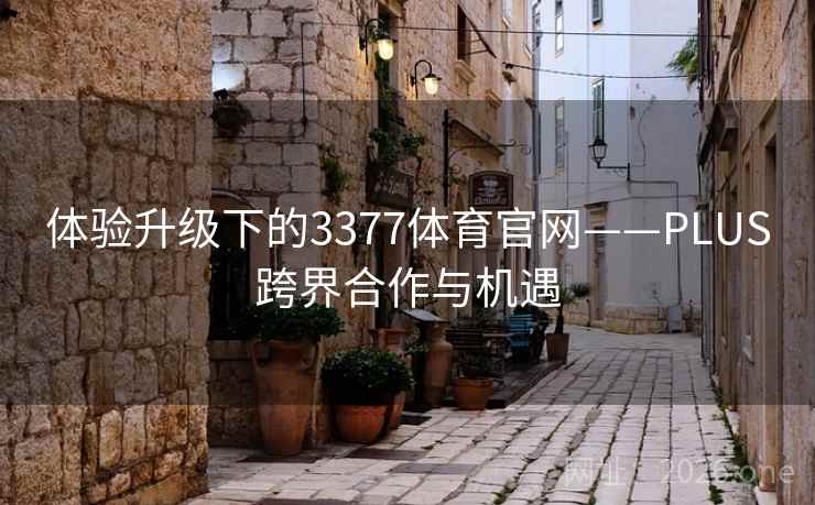 体验升级下的3377体育官网——PLUS跨界合作与机遇